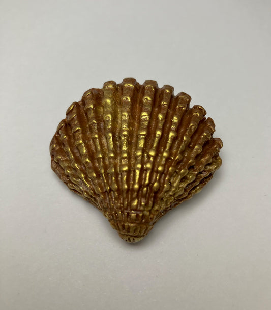 Seashell Clay Brooch